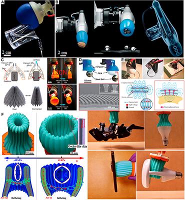 Beyond Soft Hands: Efficient Grasping With Non-Anthropomorphic Soft Grippers